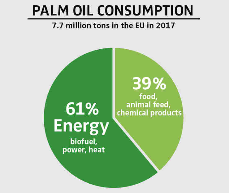 Palm Oil – Deforestation For Everyday Products